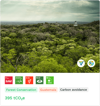 Wool-_-the-gang-2023-EN-1