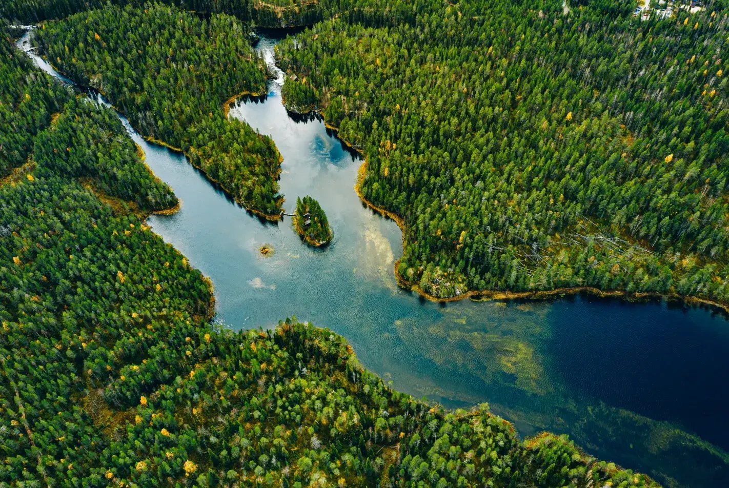 aerial-view-of-green-forests-and-blue-lakes-and-ri-QM7KYQF-1 3_1_11zon