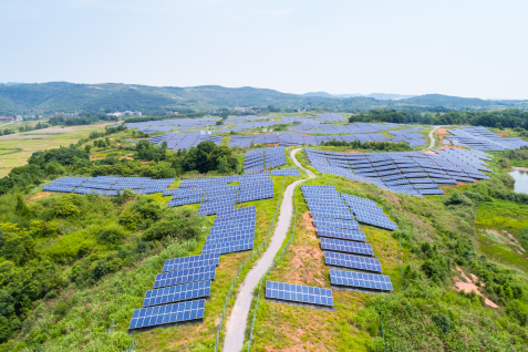 Renewable Energy