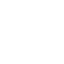 ansa