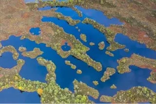 corporate net zero standard