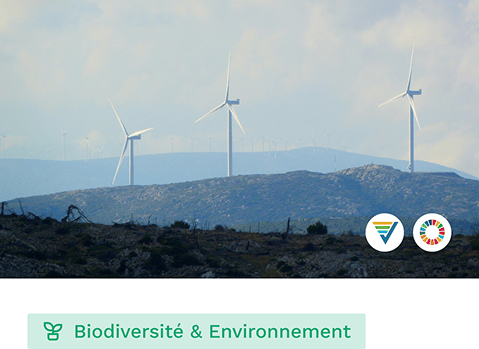 energy-renouvelable
