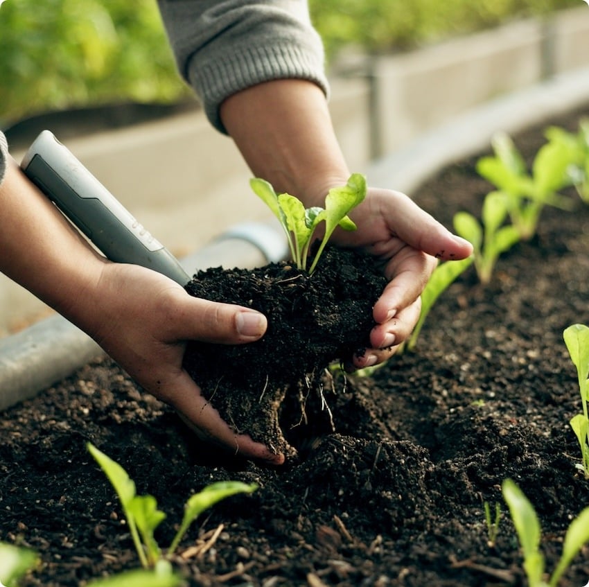 farmer-hands-plants-and-agriculture-or-fertilizer-2023-11-27-05-19-03-utc 1