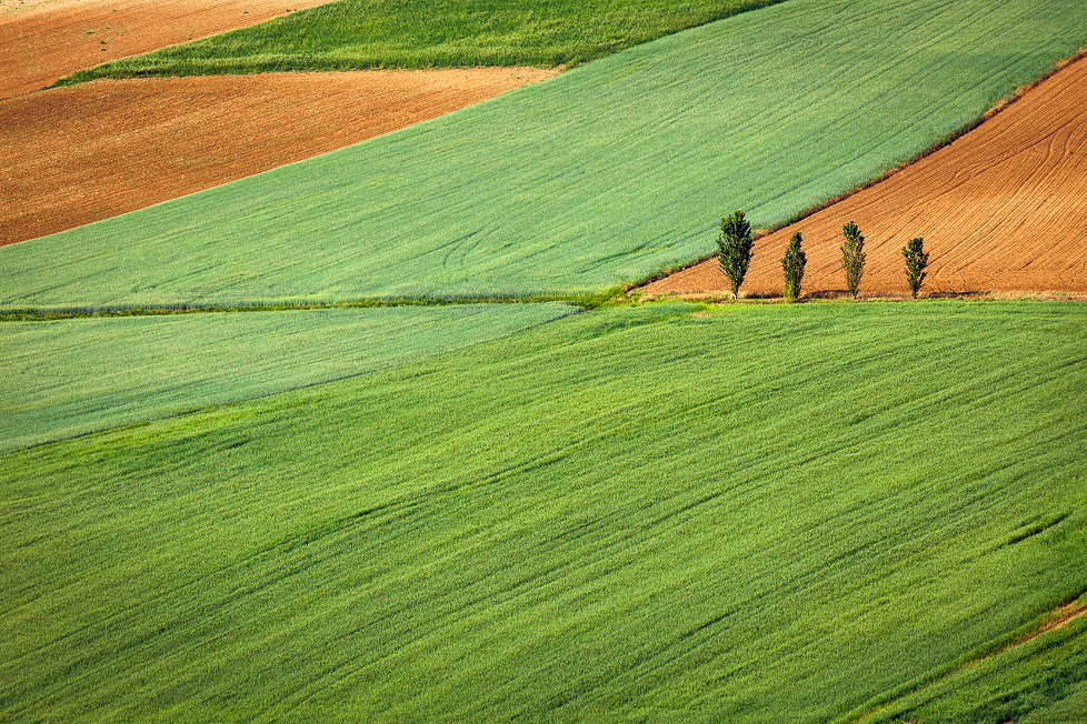 regenerative agriculture