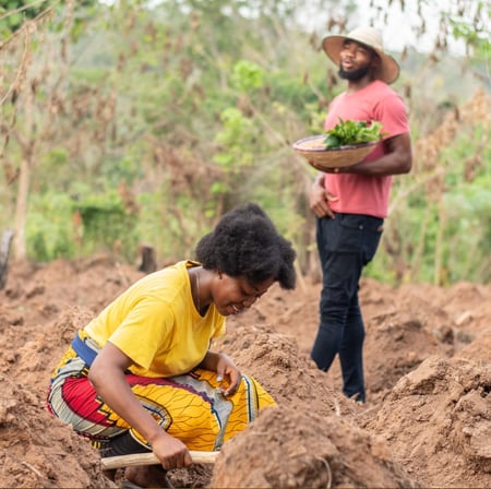 regenerative agriculture-min