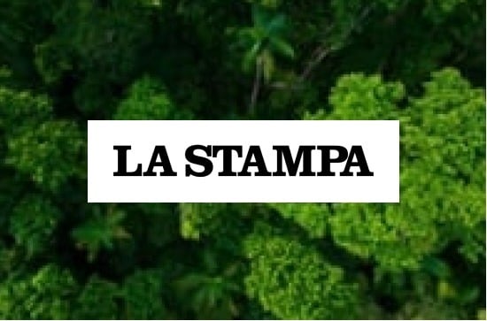 stampa