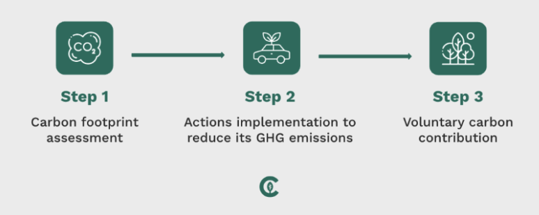 step carbon contribution