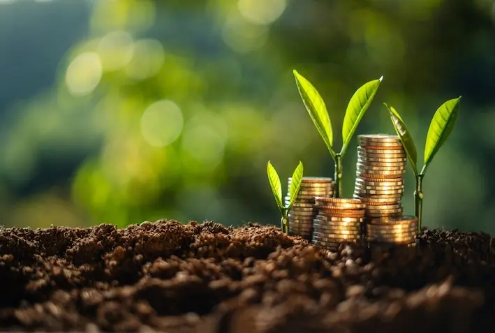 contribution carbone volontaire