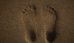 carbon footprint 