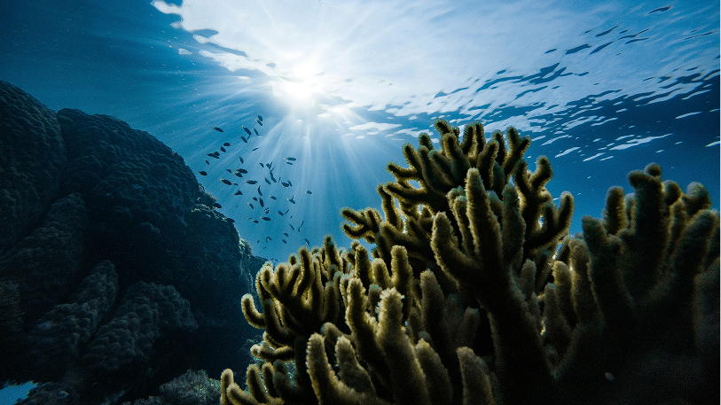 preservation oceans