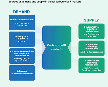 convergence marches carbone volontaire et reglementaire